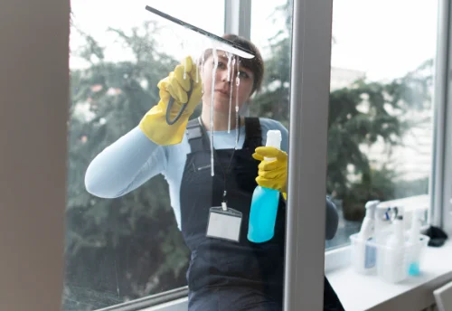 Nettoyage de vitres intérieures et extérieures à Châteldon